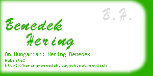 benedek hering business card